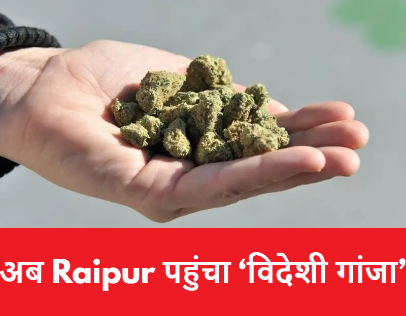 Chhattisgarh Crime News: अब Raipur पहुंचा ‘विदेशी गांजा’, तस्कर गिरफ्तार