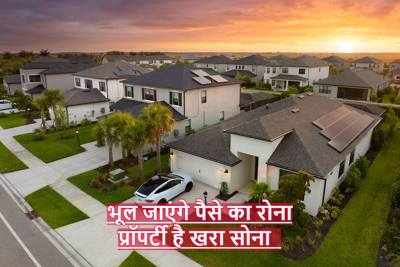 Real Estate: भूल जाएंगे पैसे का रोना, प्रॉपर्टी है खरा सोना