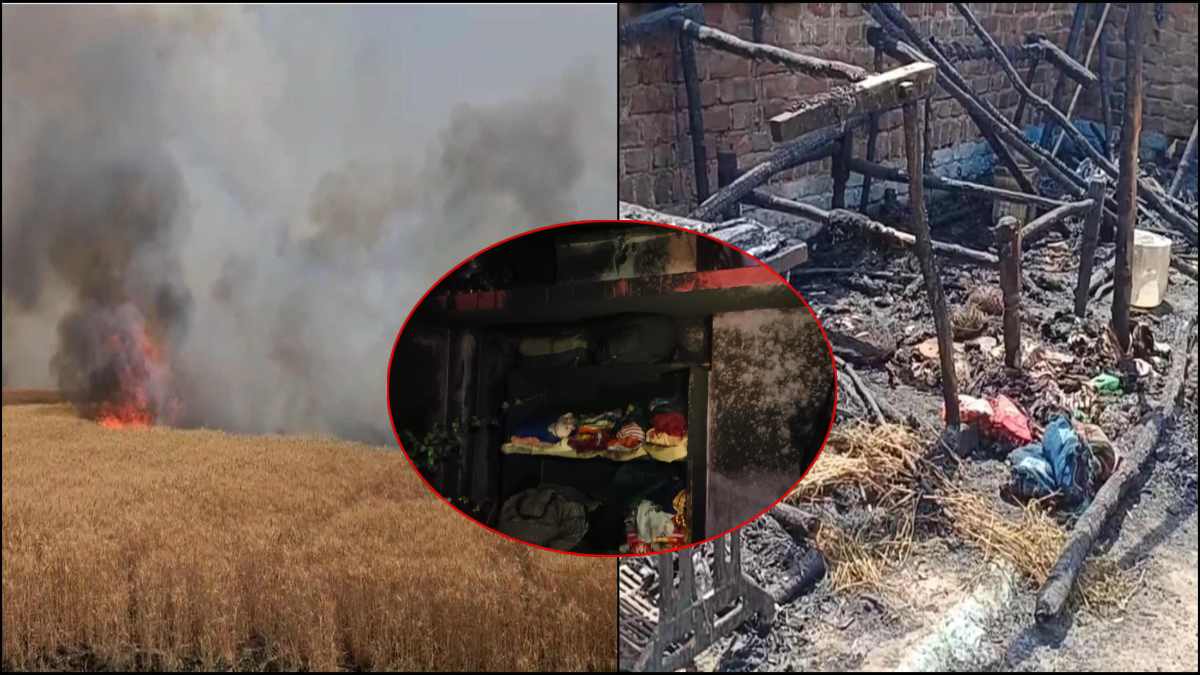 MP में आगजनीः भिंड में आग में जलने से 3 भैंसों की मौत, गोटेगांव में घर में भड़की चिंगारी, देपालपुर में 3 महिला किसानों की 20 बीघा गेंहू फसल खाक