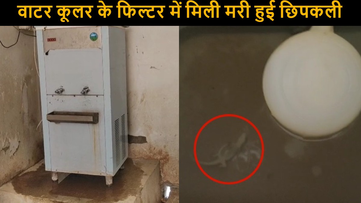 OMG! छत्तीसगढ़ के इस PG कॉलेज में बच्चे पी रहे थे मरी हुई छिपकली वाला पानी, कई Hospitalize