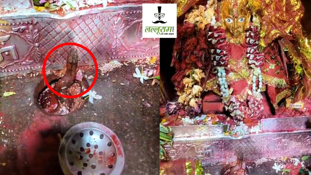 नवरात्रि में माता की आरती में पहुंचा नाग, भक्तों के लिए बना आस्था का विषय, देखें VIDEO…      