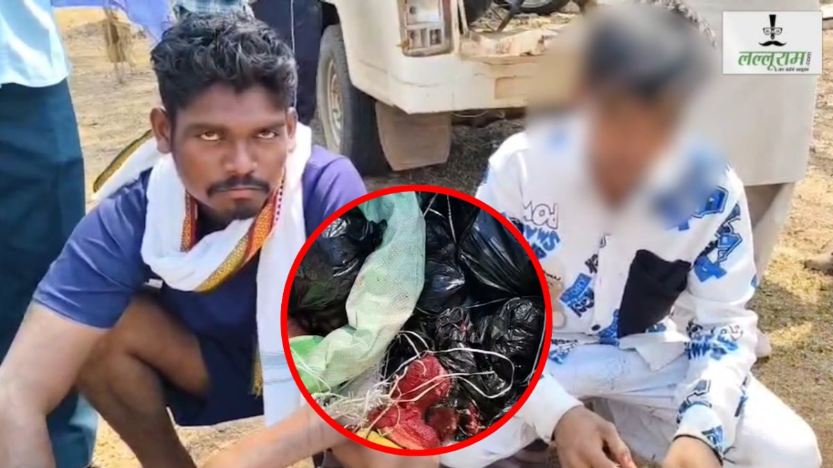 वन विभाग की बड़ी कार्रवाई : जंगली सुअर को मारकर मांस बेचने तलाश रहे थे ग्राहक, घेराबंदी कर नाबालिग समेत दो आरोपी को किया गिरफ्तार