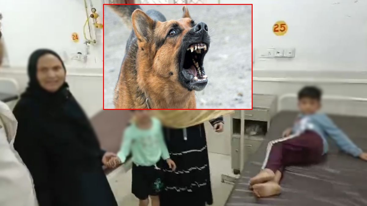 खंडवा में पागल कुत्ते का आतंक: एक ही वार्ड के 13 बच्चों को काटा, एक महिला भी घायल, मची अफरा-तफरी
