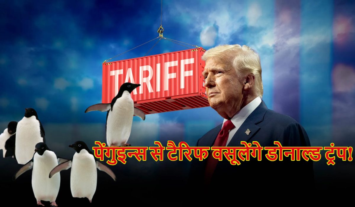 पेंगुइन्स से टैरिफ वसूलेंगे डोनाल्ड ट्रंप! जिस आइलैंड पर 10 साल में इंसान ने नहीं रखा कदम, ट्रंप ने वहां भी लगाया 10 फीसदी टैरिफ
