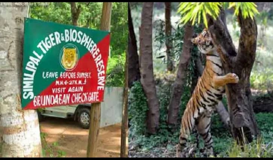 ओडिशा के सिमिलिपाल राष्ट्रीय उद्यान घोषित