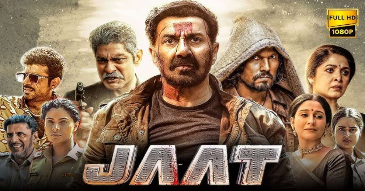 JAAT के कलेक्शन देखकर भड़के फैंस, बोले- Suny Deol के साथ गलत हो रहा, FILM इतने कम पैसे…