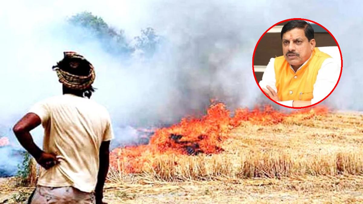 नरवाई जलाई तो नहीं मिलेगा इस योजना का लाभ: MSP पर फसल खरीदी भी नहीं, पर्यावरण प्रदूषण रोकने के लिए सीएम डॉ मोहन ने दिए ये निर्देश