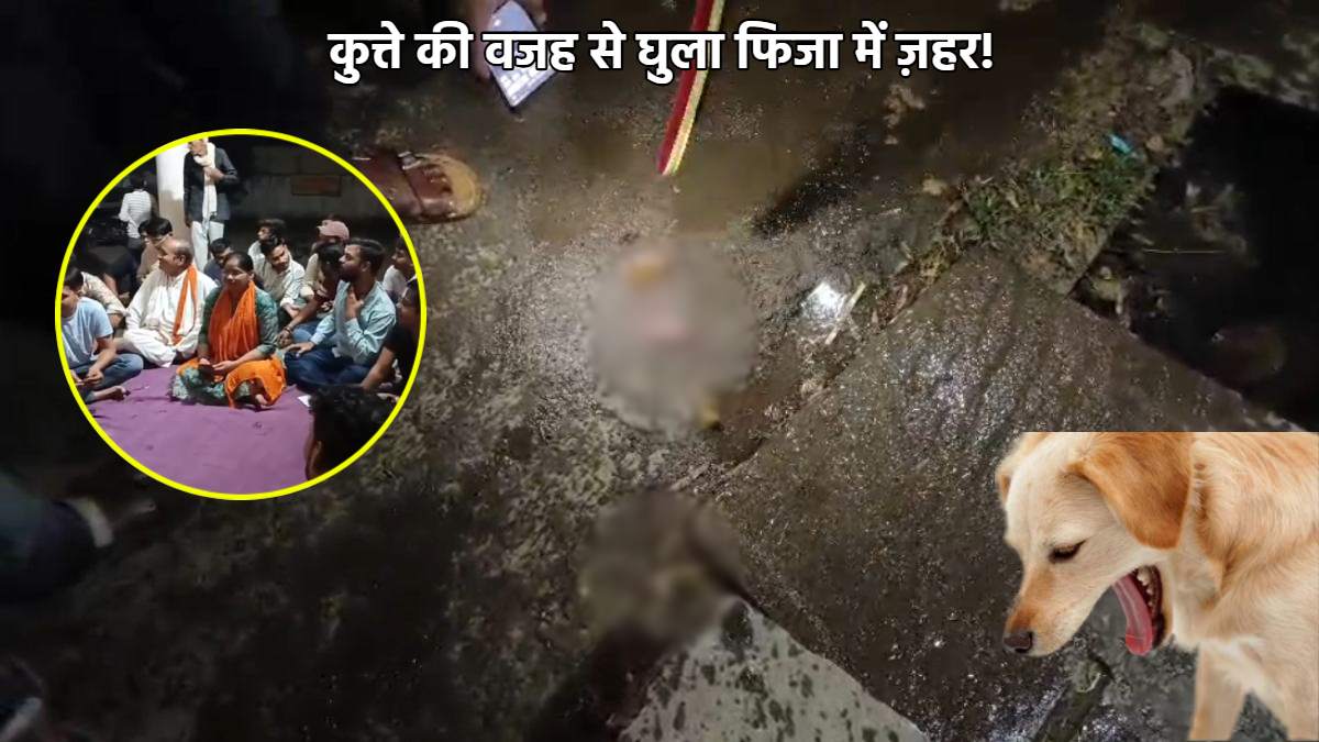 कुत्ते की वजह से बिगड़ा आपसी सौहार्द: हनुमान जयंती पर शोभायात्रा के दौरान मांस मिलने के मामले में खुलासा, बजरंग दल ने जताया था विरोध