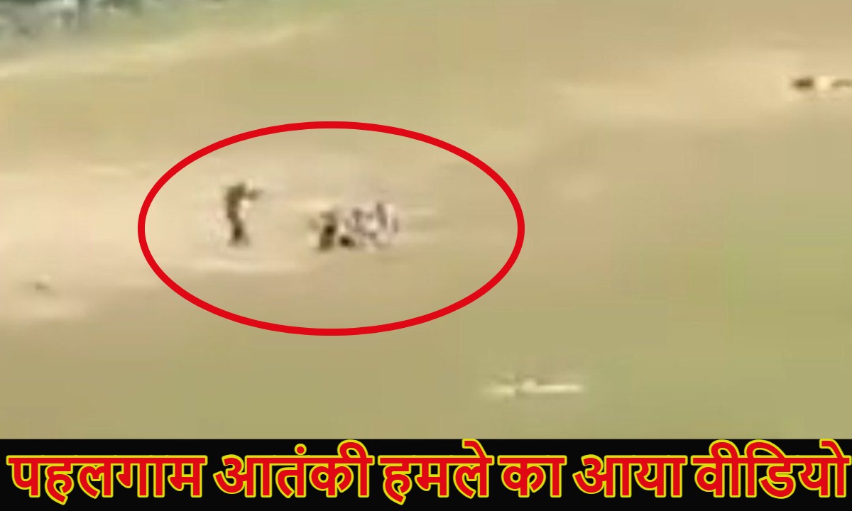 Pahalgam Video: पहलगाम आतंकी हमले का वीडियो आया सामने, लोगों पर बंदूक ताने-गोलियां बरसाते दिखे आतंकी