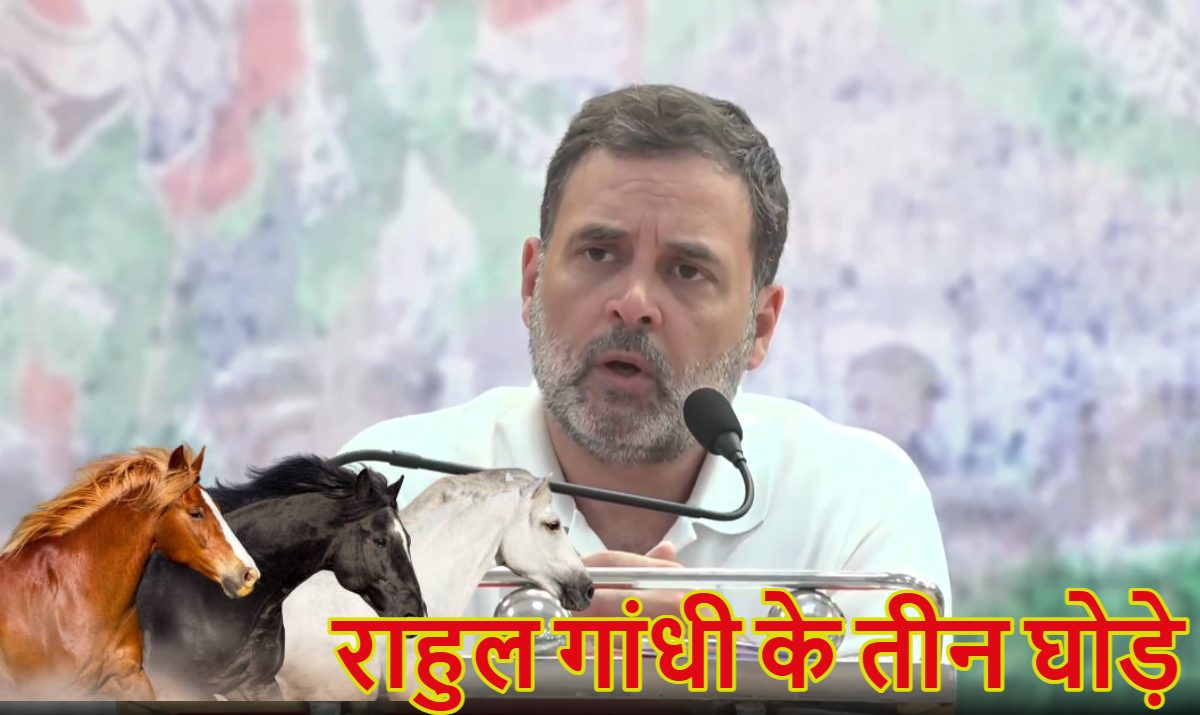 राहुल गांधी के तीन घोड़ेः गुजरात में कांग्रेस सांसद फिर बोले- हमारे कुछ लोग BJP से मिले हुए, आखिर बार-बार घोड़े का क्यों कर रहें हैं जिक्र?