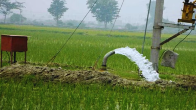 Bihar News: किसानों को मुफ्त बिजली कनेक्शन दे रही बिहार सरकार, जून तक आवेदन का मौका!