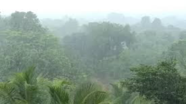 Bihar Weather: बिहार में बारिश का सिलसिला जारी! इन जिलों में ऑरेंज अलर्ट