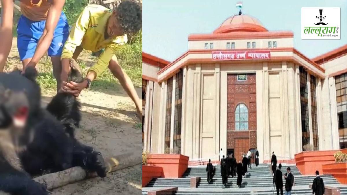 सुकमा में भालू की क्रूर हत्या पर हाईकोर्ट सख्त: पीसीसीएफ से मांगा जवाब, सोशल मीडिया में वीडियो हुआ था वायरल