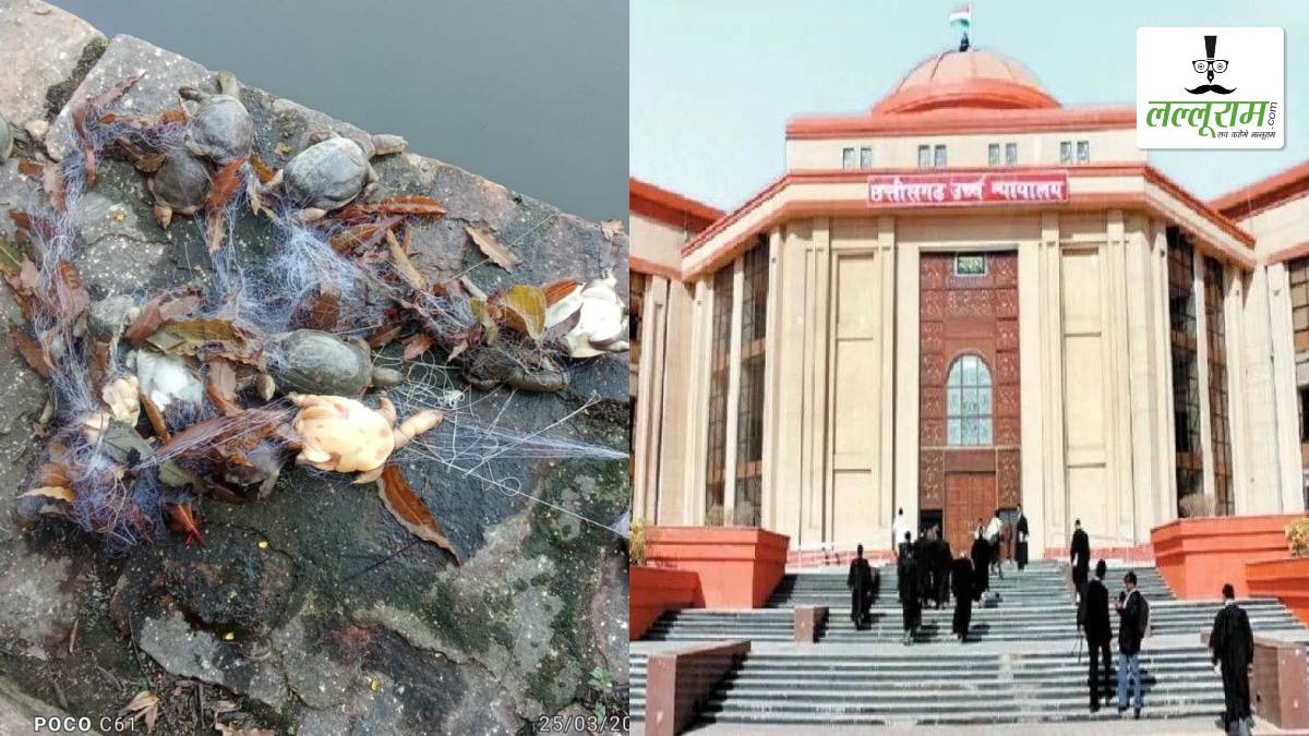 कुंड में कछुओं की मौत का मामला: हाई कोर्ट की गंभीर टिप्पणी, कहा- पवित्र स्थान को गंदा बना दिया