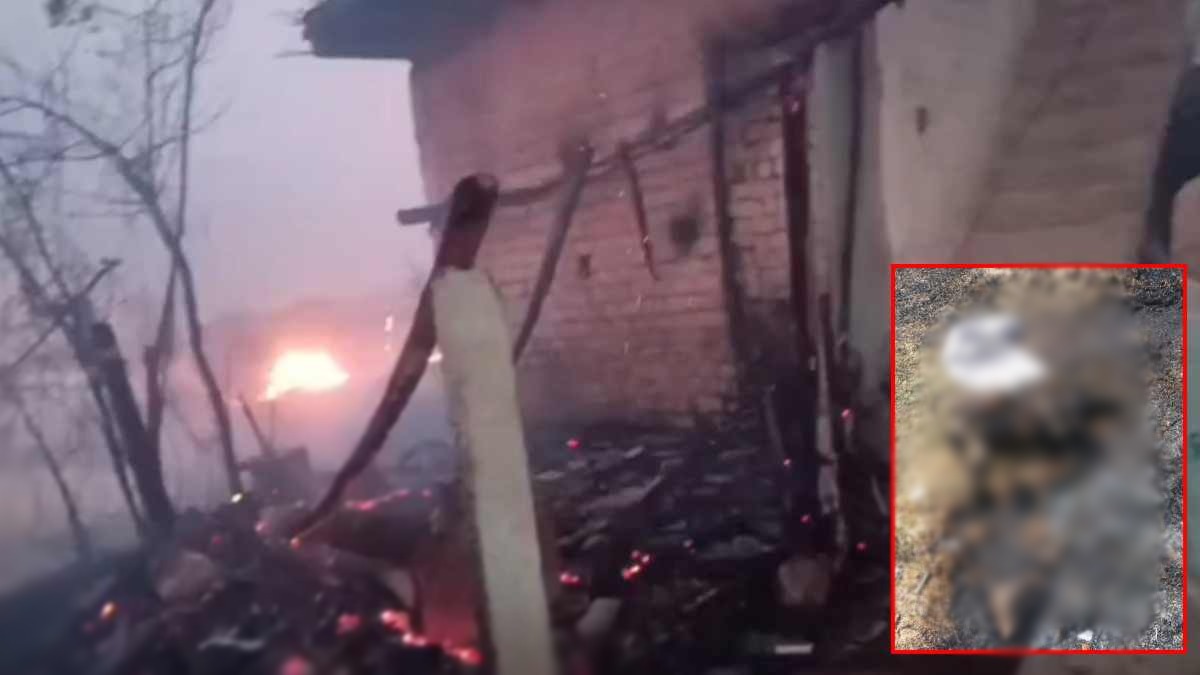 नरवाई की आग में तबाह हुए कई घर: मिनटों में जिंदगी भर की कमाई, सपने और आश्रय हुए खाक, एक भैंस भी झुलसी
