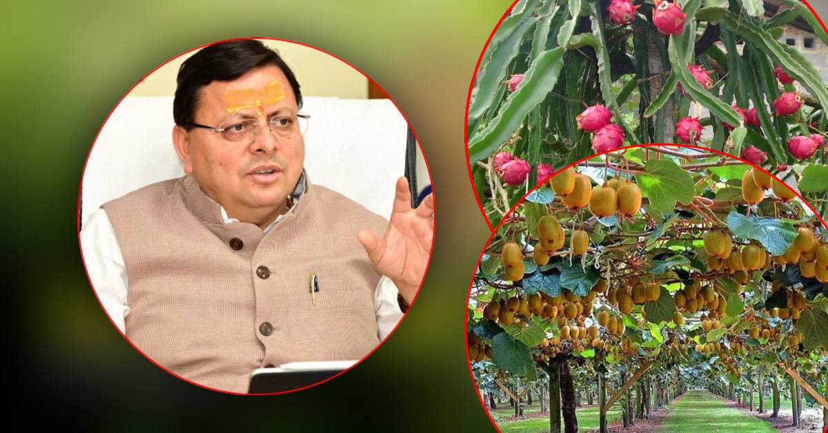 किसानों की बल्ले-बल्ले ! मिलेट्स पॉलिसी, कीवी पॉलिसी पर लगी मुहर, 3 लाख 17 हजार से अधिक किसान होंगे लाभान्वित
