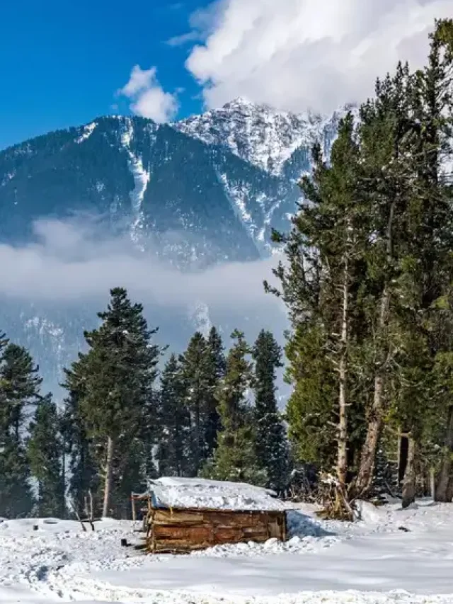 बॉलीवुड की 9 फ‍िल्‍में ज‍िसमें द‍िखी कश्‍मीर की खूबसूरती