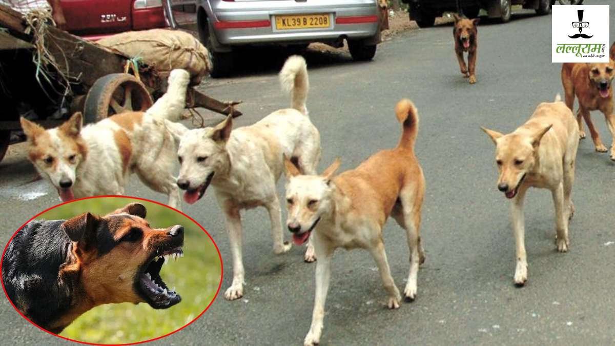 गर्मी बढ़ते ही बेकाबू हुए स्ट्रीट डॉग्स: दो मासूम पर किया जानलेवा हमला, पिछले 24 घंटे में तीन अस्पतालों में आए 366 मरीज