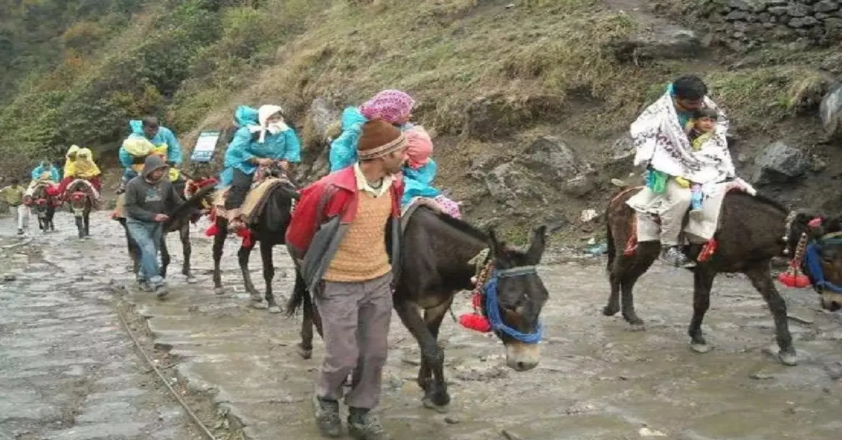 Chardham Yatra 2025 : पशुपालन विभाग युद्ध स्तर पर कर रहा तैयारी, घोडे़-खच्चरों का स्वास्थ्य परीक्षण जारी, CM धामी ने दिए थे निर्देश