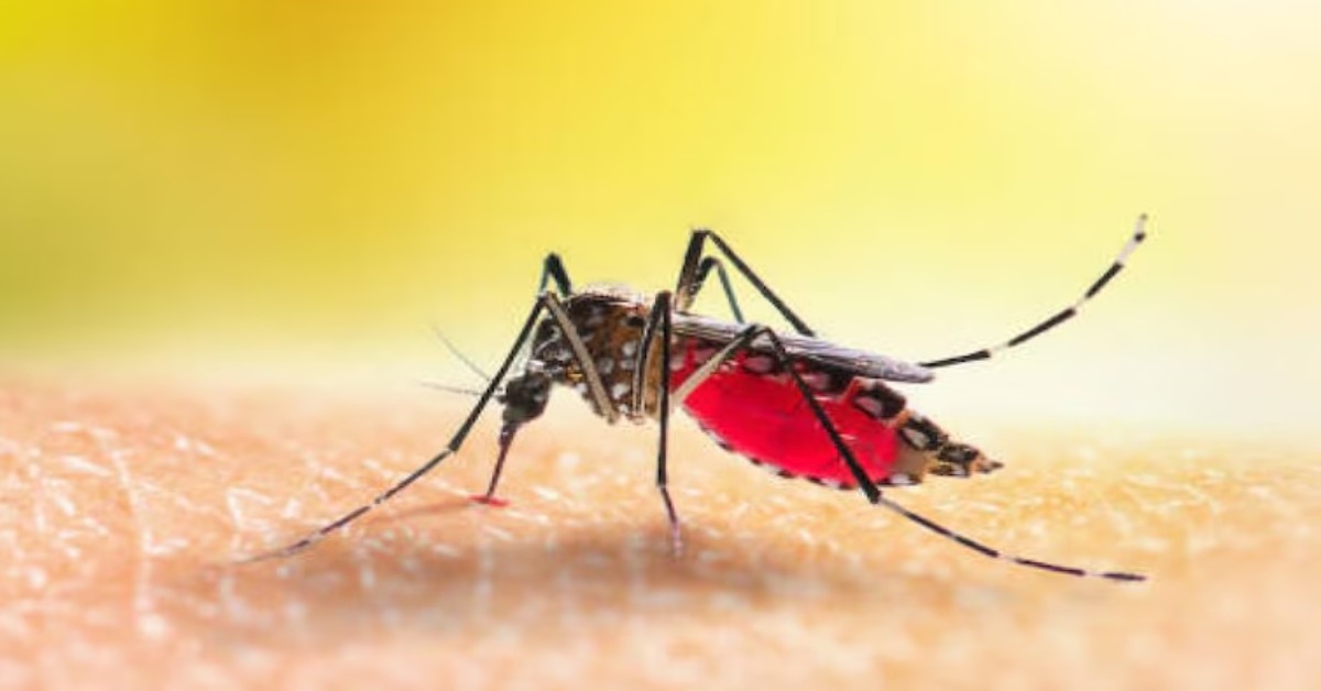 प्रदेश में डेंगू पर प्रभावी नियंत्रण के लिए सीएम ने दिए निर्देश, गर्मी को देखते हुए बिजली और पानी की नियमित आपूर्ति को लेकर कही ये बात