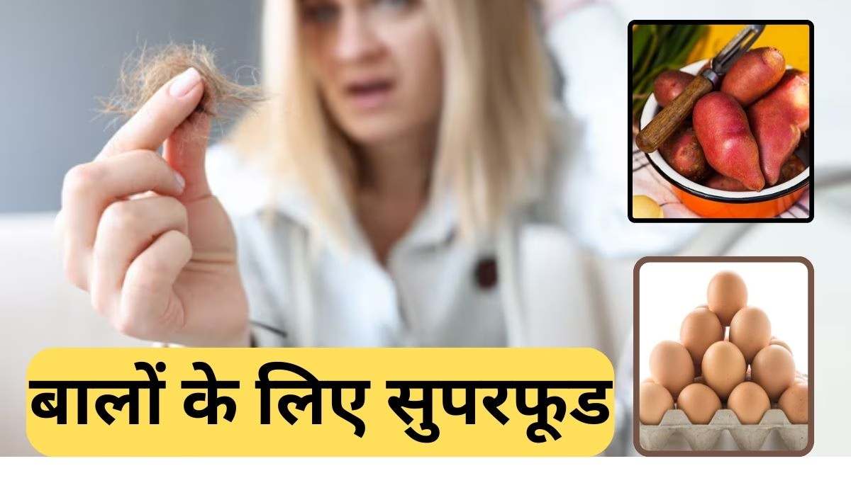 Superfoods for Hair Growth: डाइट में शामिल करें ये सुपरफूड्स, बालों की ग्रोथ होगी तेजी से…