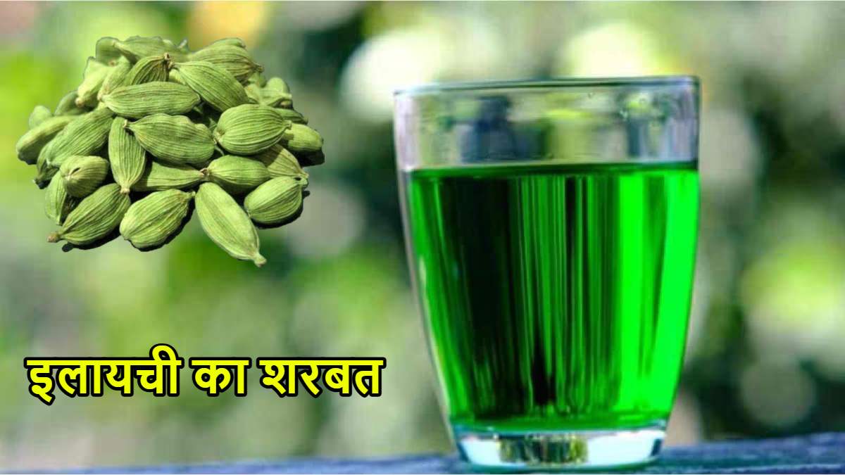 Elaichi Sharbat Recipe: गर्मी में ताज़गी से भर देगा इलायची का शरबत, यहां जानें बनाने की विधि…