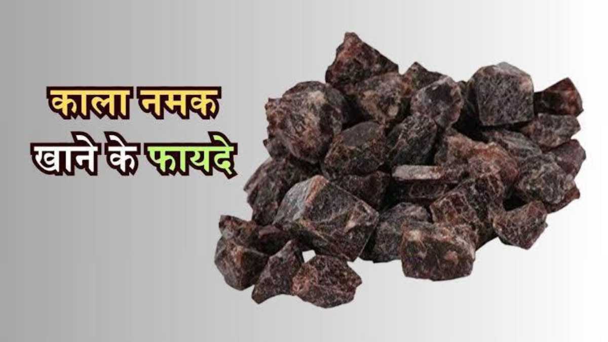 Himalayan Black Salt Benefits: हिमालयन ब्लैक सॉल्ट खाने में लाए अलग स्वाद, और स्वास्थ्य के लिए फायदेमंद…