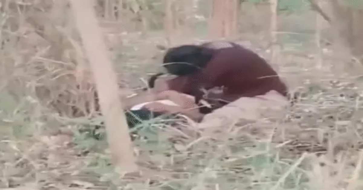 ‘ऐसा मत करो न प्लीज…,’ प्रेमिका के सामने प्रेमी ने रखी ये शर्त, नहीं मानी तो उसके सामने लगाया मौत को गले, जानिए अधूरी प्रेमकहानी की पूरी कहानी