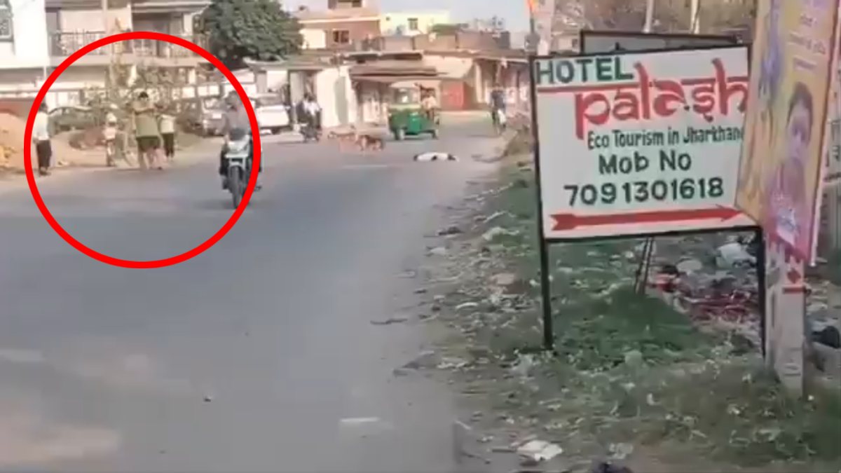 दिनदहाड़े राइफल लेकर निकला युवक, कुत्ते को मारी गोली, पुलिस ने किया गिरफ्तार तो बताई हैरान कर देने वाली वजह; VIDEO
