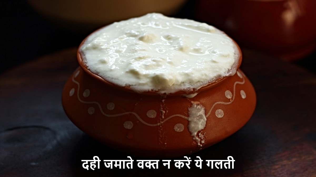 दही जमाते वक्त न करें ये गलती, नहीं तो बन जाएगा जहर…