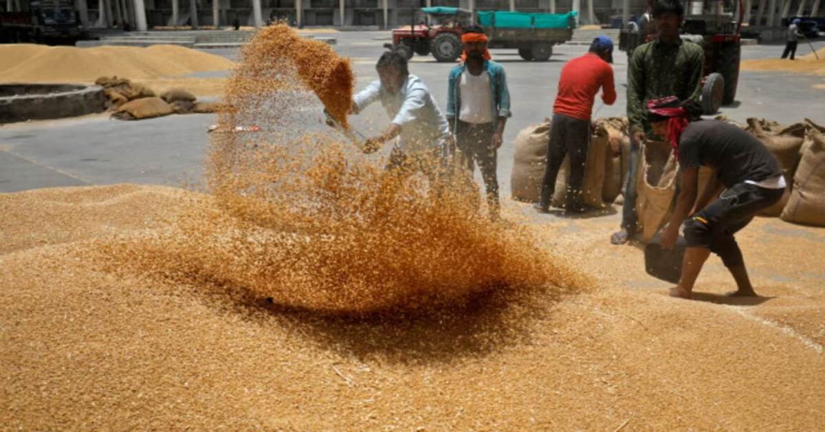 अब 100 क्विंटल से ज्यादा गेहूं बेचने के लिए नहीं होगा सत्यापन का झंझट, योगी सरकार ने लिया ये फैसला