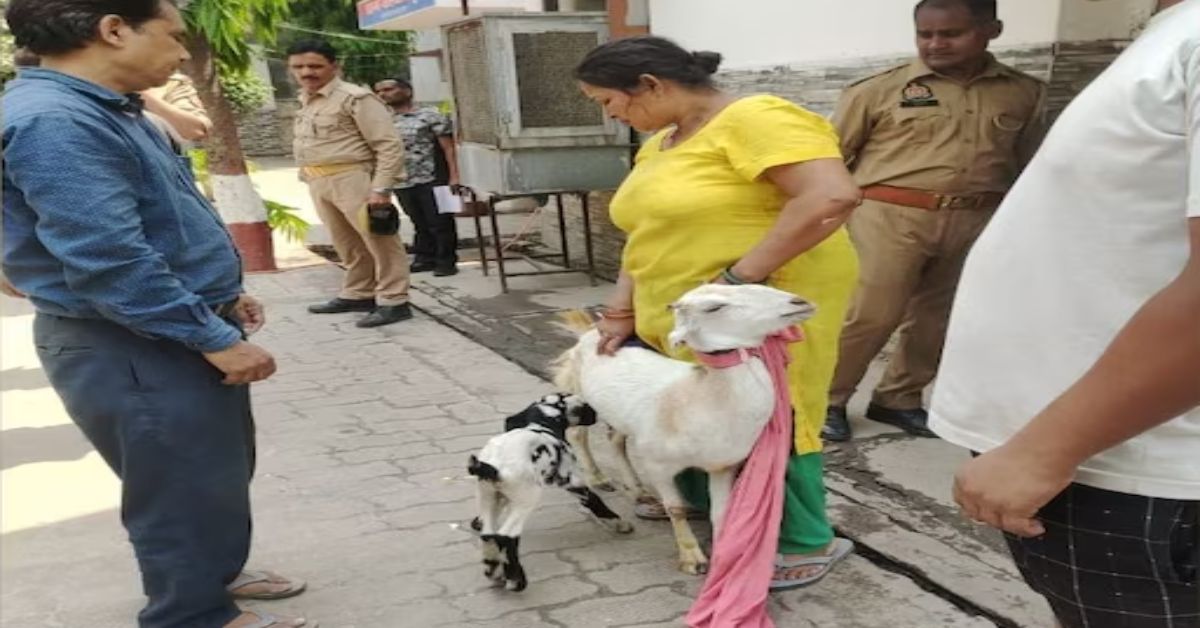 दूध पिलाकर मामले का निपटारा : समाधान दिवस पर पुलिस के पास आया अनोखा मामला, हल नहीं मिला तो लगाई ये तरकीब