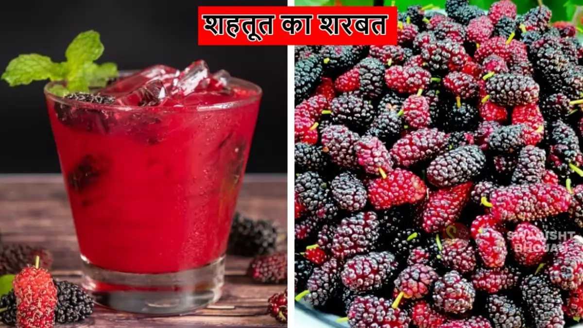 Summer Special, Mulberry Sherbet Recipe: गर्मी में बॉडी को ठंडा रखे शहतूत का शरबत, जानिए रेसिपी और जबरदस्त फायदे…
