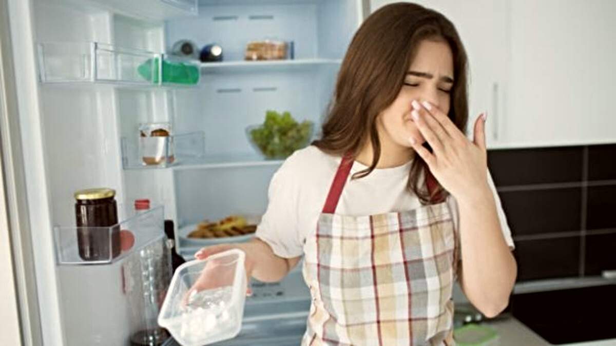 Kitchen Tips For Fridge Smell: फ्रिज खोलते ही आती है अजीब सी बदबू? आजमाएं ये घरेलू उपाय, मिनटों में मिलेगी राहत…