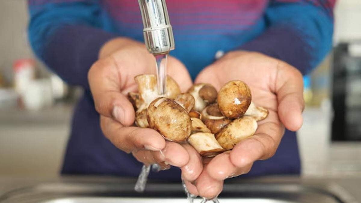 How To Clean Mushroom: आपको भी पसंद है मशरूम ? तो इस तरह करें साफ, ताकि सेहत न हो खराब…