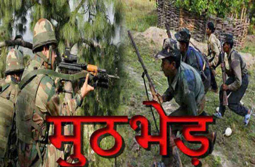 CG Breaking : सुरक्षा बलों ने 5 नक्सलियों को मार गिराया, सभी का शव बरामद, मुठभेड़ जारी