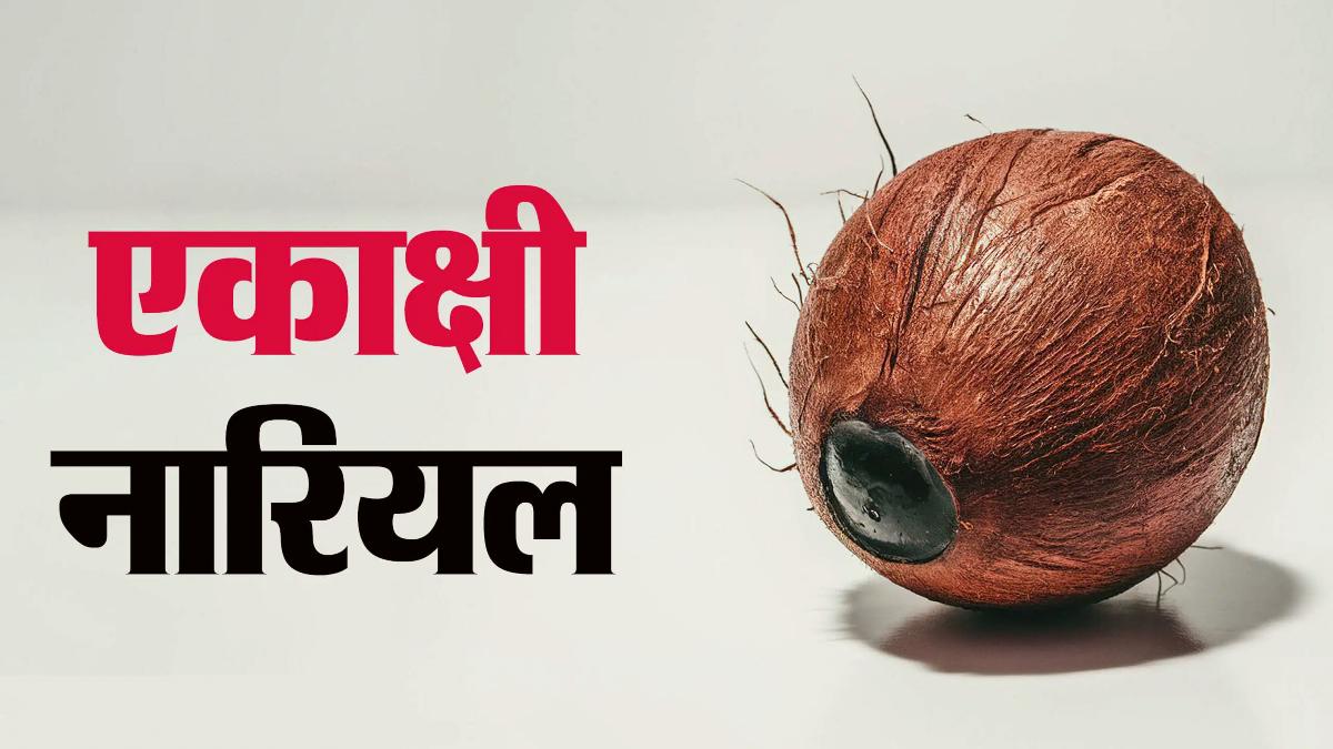 Ekakshi Nariyal: एकाक्षी नारियल सुख, समृद्धि, व्यापार और संतान प्राप्ति के अद्वितीय उपाय में लाभकारी…