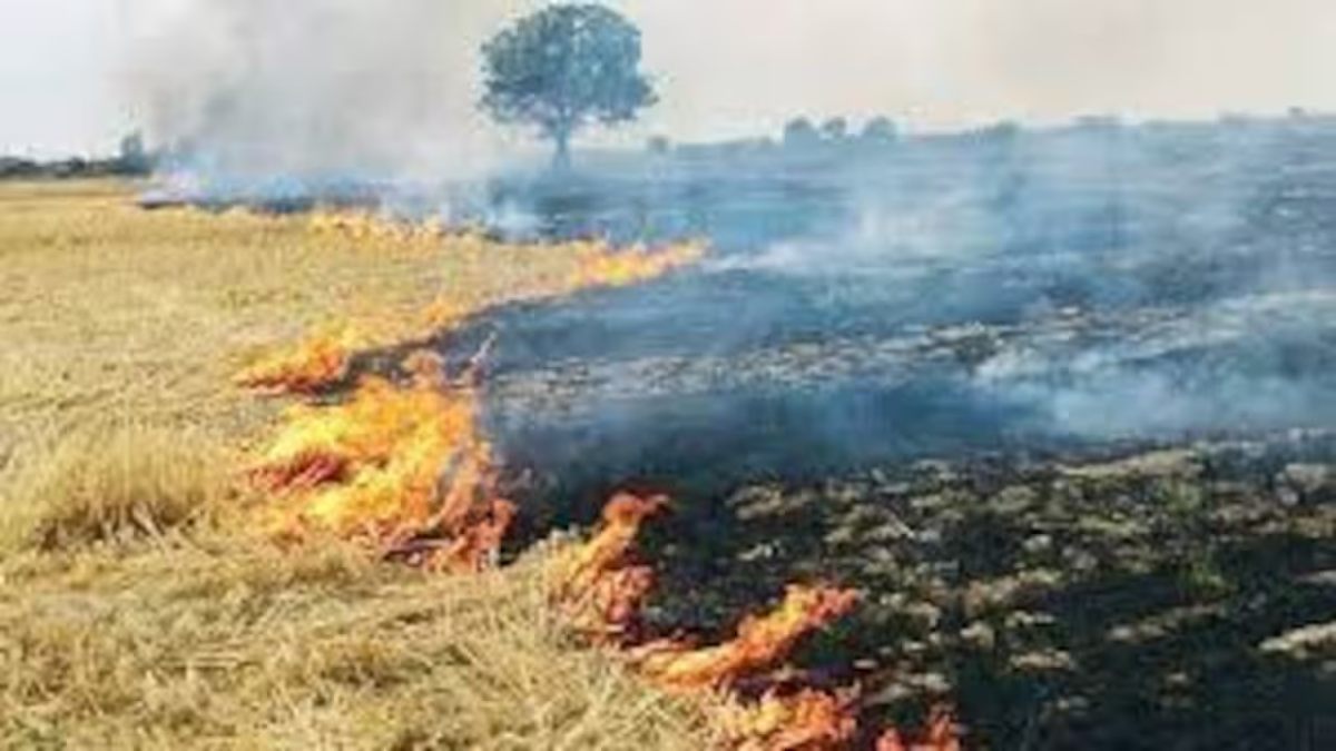 एक गलती पड़ गई भारी: राजधानी में पराली जलाने पर पहली FIR, 4 किसानों पर मामला दर्ज