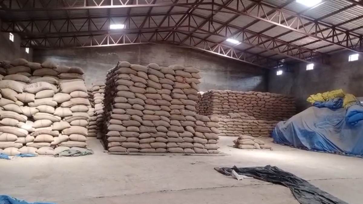 टैक्स चोरी पर कार्रवाई: प्रशासन ने सरसों ने भरे गोदाम  किया सील, सैकड़ों क्विंटल गेहूं और चने का खंगाला जा रहा रिकार्ड