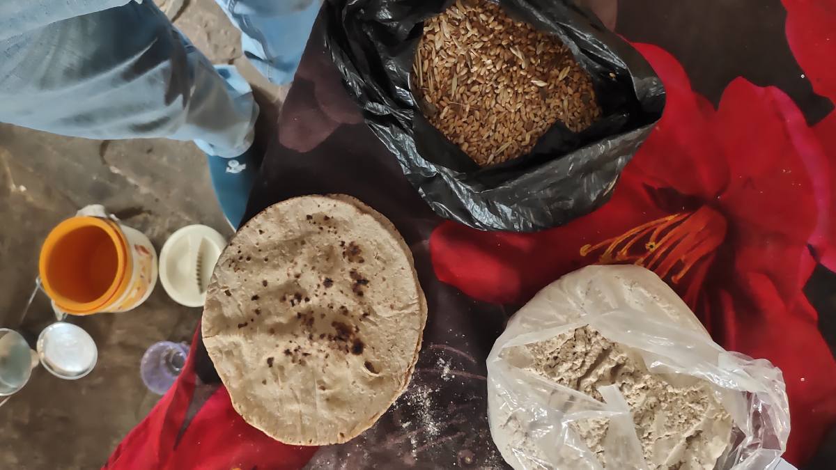 ‘सर… रोटियों में बदबू आती है’, स्कूली बच्चों के स्वास्थ्य से खिलवाड़, गेहूं में मिले बकरियों के मल, जिम्मेदारों को फूड पॉइजनिंग का इंतजार?