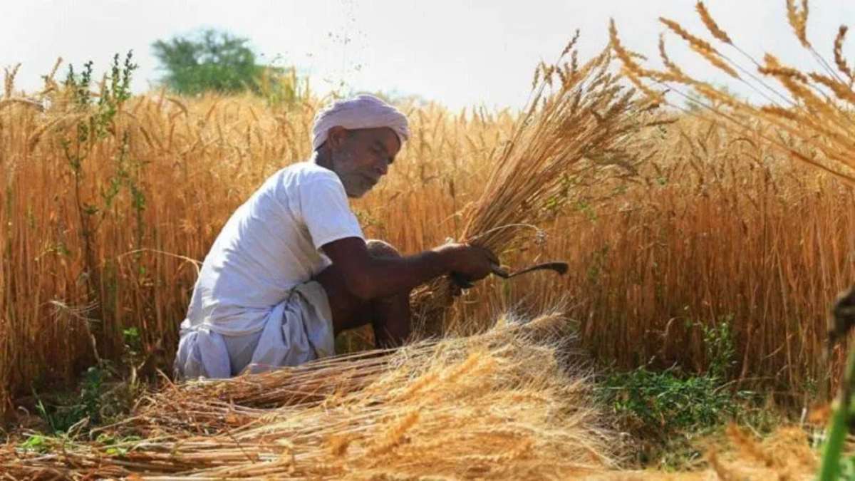 एक गलती और मोटा जुर्माना: अन्नदाता हो जाएं सावधान, धोखे से भी किया ये काम तो होगी कानूनी कार्रवाई…