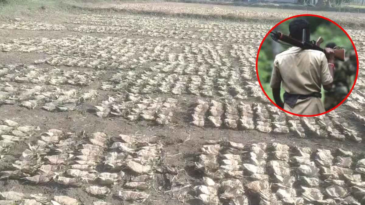 नक्सलियों के फंडिंग रोकने के लिए खास प्लान, पुलिस को सूचना दिए बगैर जंगल में तेंदूपत्ता ठेकेदार नहीं ले जा सकेंगे कैश