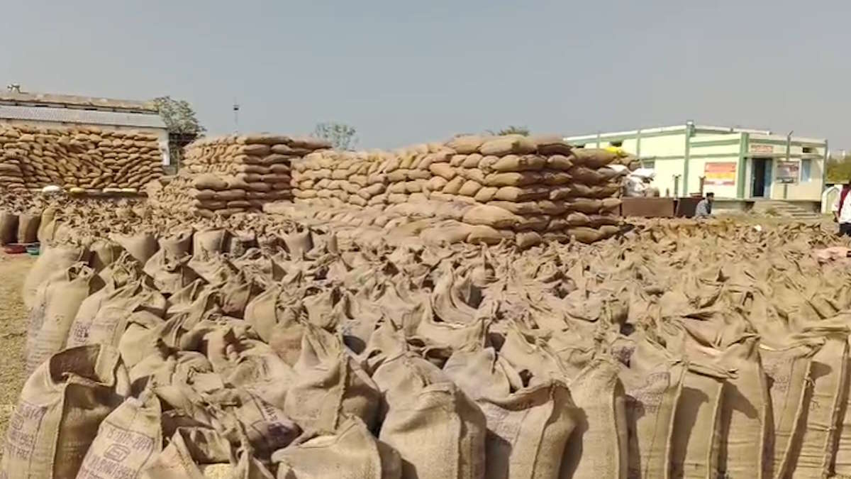 उपार्जन केंद्रों से 3 करोड़ 36 लाख रुपए का धान गायब! खरीदी प्रभारियों को नोटिस जारी…