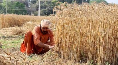 भारत-पाक सीमा पर हाई अलर्ट, 2 दिन में फसल कटाई का आदेश