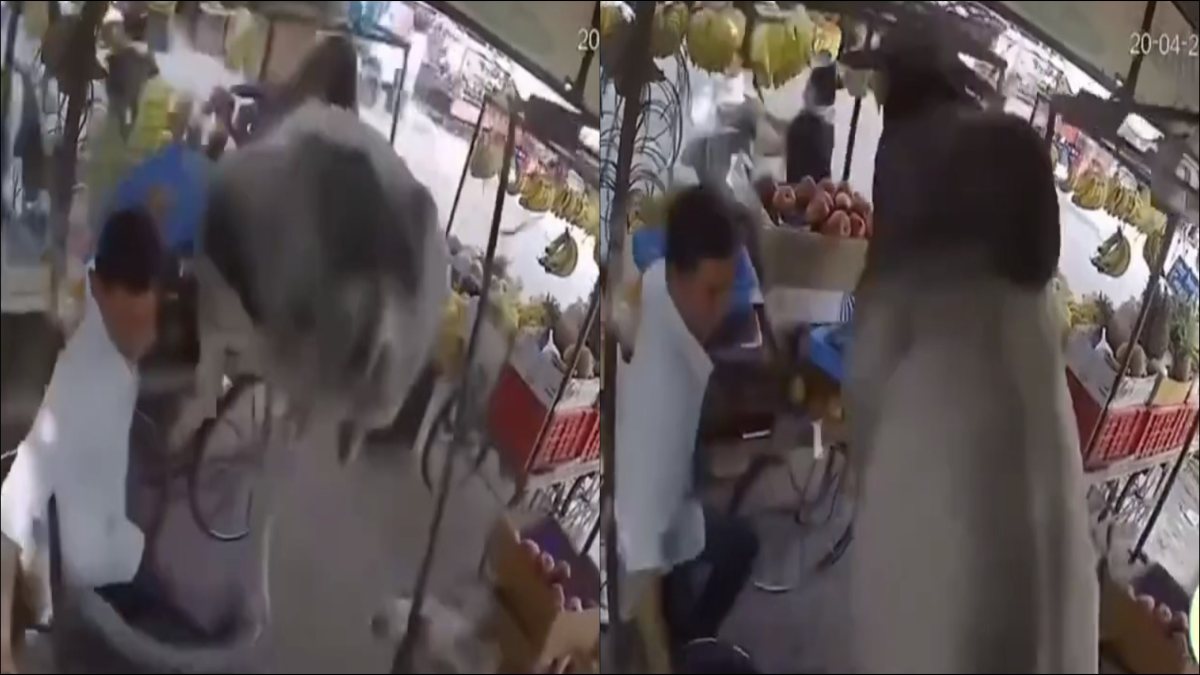 ‘यमराज’ बनकर आया आवारा सांड, VIDEO: फल खरीद रही महिलाओं पर कूदा, फिर जो हुआ देखकर होश उड़ जाएंगे