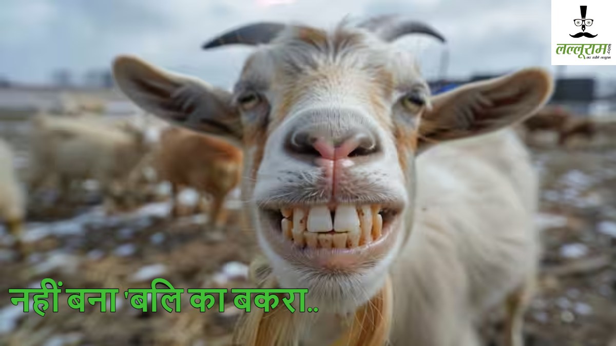 बलि देने जा रहा परिवार खुद हो गया शिकार: सड़क हादसे में 4 लोगों की मौत, बकरा नहीं बन पाया ‘बलि का बकरा’ लेकिन मुर्गे की चली गई जान