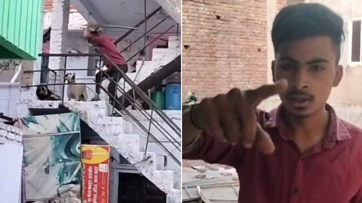 MP में बर्बरता: सीढ़ियों पर सो रहे स्ट्रीट डॉग को लोहे की रॉड से पीट-पीटकर किया अधमरा, युवक की हैवानियत का Video वायरल