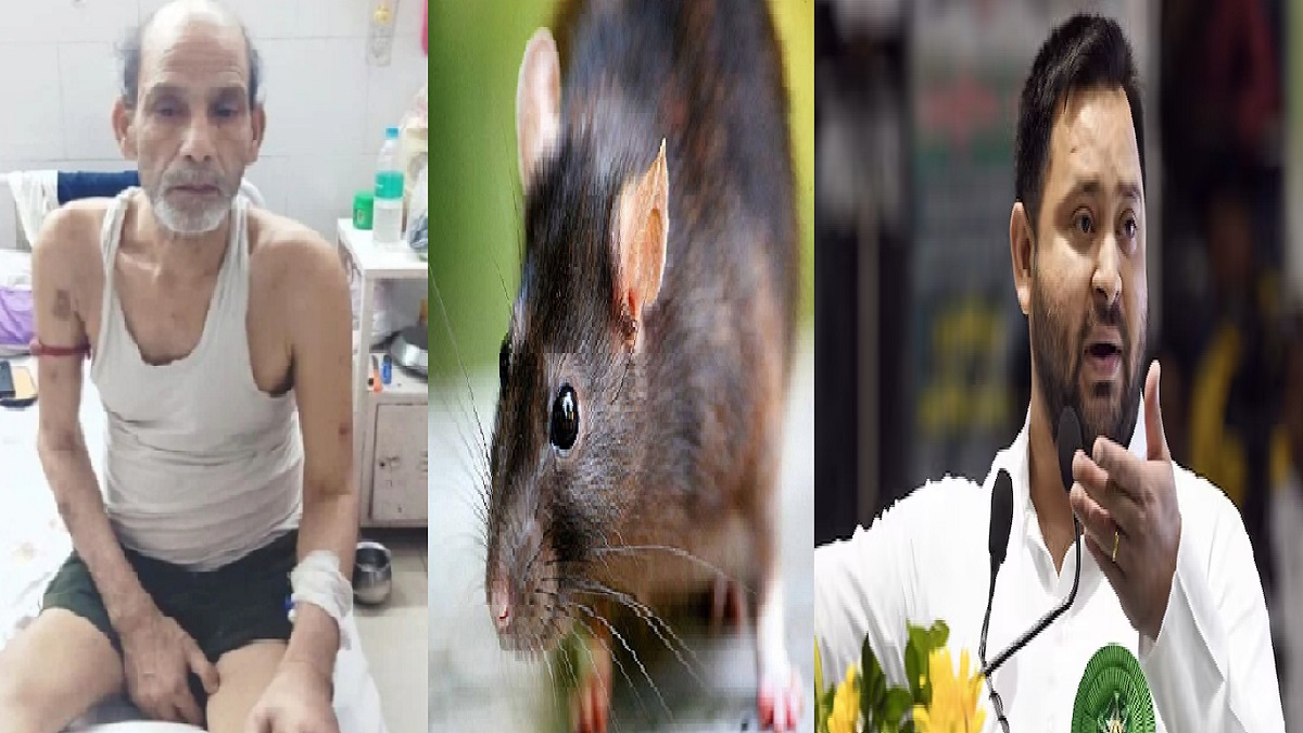 चूहे हैं या डायनासोर? इलाज कराने आए मरीज का कुतर डाला पैर, तेजस्वी ने CM नीतीश पर तंज कसते हुए कहा- 2005 से पहले ई सब होता था जी?