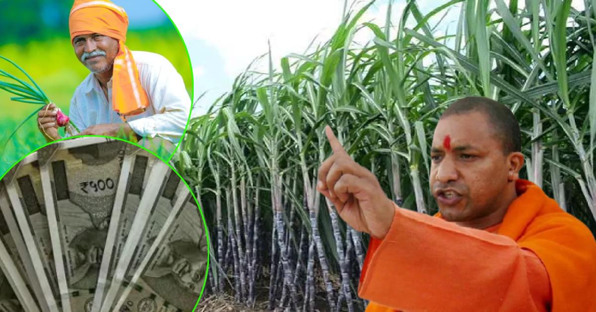 समय से पैसा देने में क्या दिक्कत है भाई ! सरकार के आदेश के बावजूद गन्ना किसानों को नहीं मिला पैसा, प्रशासन ने लिया एक्शन