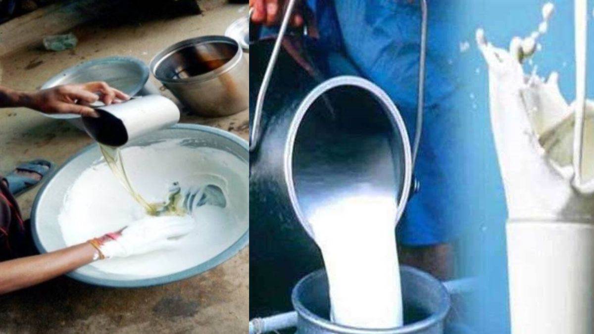 जगतसिंहपुर में नकली दूध रैकेट का भंडाफोड़, मिलावटी दूध OMFED को सप्लाई किए जाने का संदेह